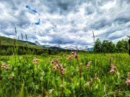 Cat Creek trail, waterfalls, Alberta, hiking, Calgary, Kirk Lubimov